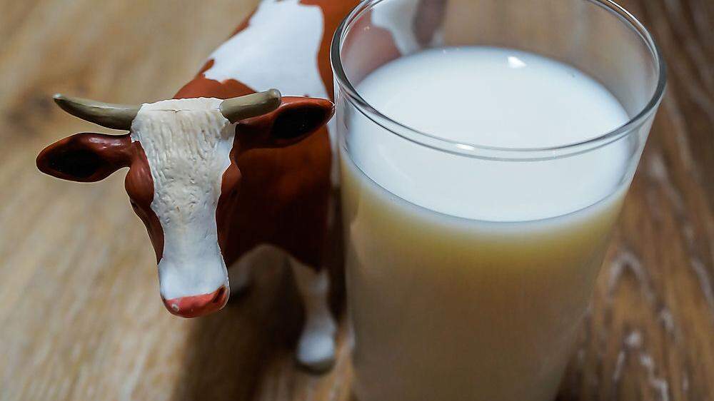Weniger Kühe, aber mehr Milch