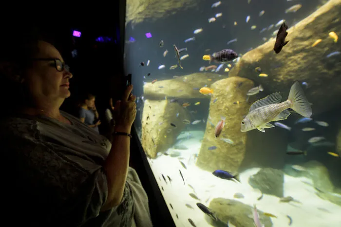 Der Bau des Aquariums dauerte drei Jahre. Finanziert wurde er mit privaten Geldern, hinter dem Projekt steht eine gemeinnützige Stiftung.