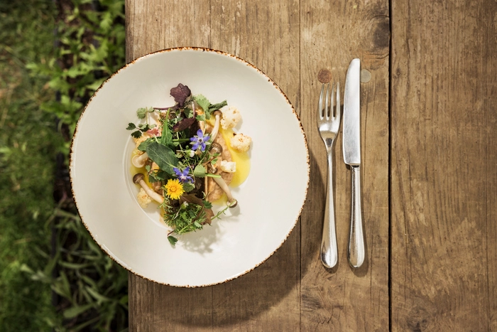 Falkensteiner Balance Resort Stegersbach