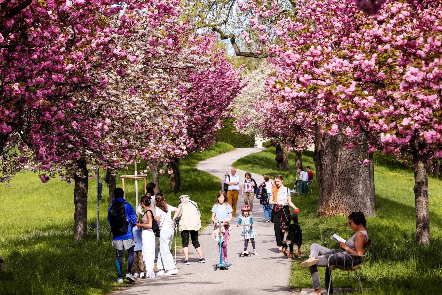 Wetter: Am Wochenende wird es in der Steiermark sonnig und warm