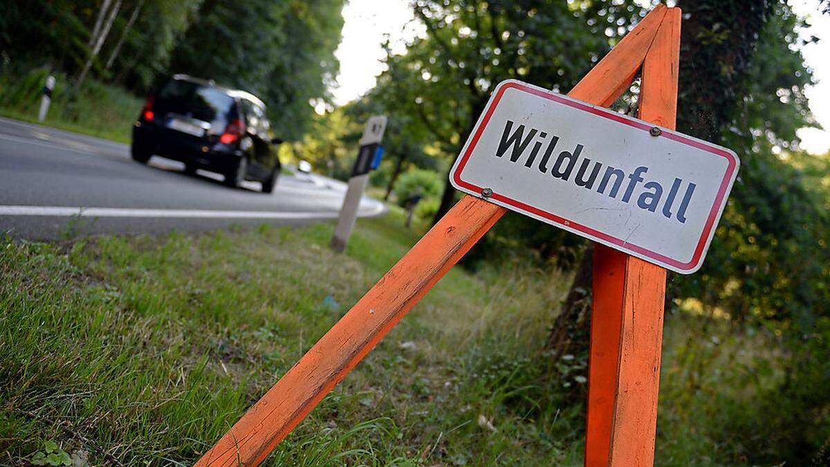 Wieder ereignete sich in Kärnten ein Wildunfall