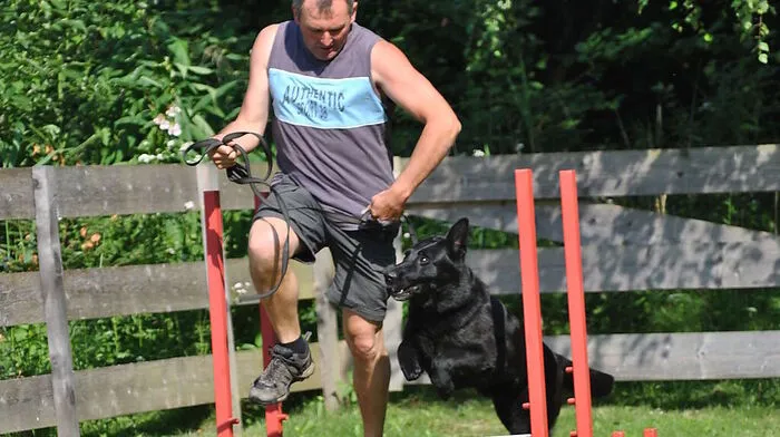 Am Abrichteplatz in Lavant beginnt der Frühjahrskurs für Hunde 