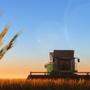 Ab Juli wird der frische Weizen in der Ukraine geerntet. Bis dahin müssen die Lagerkapazitäten freigemacht werden