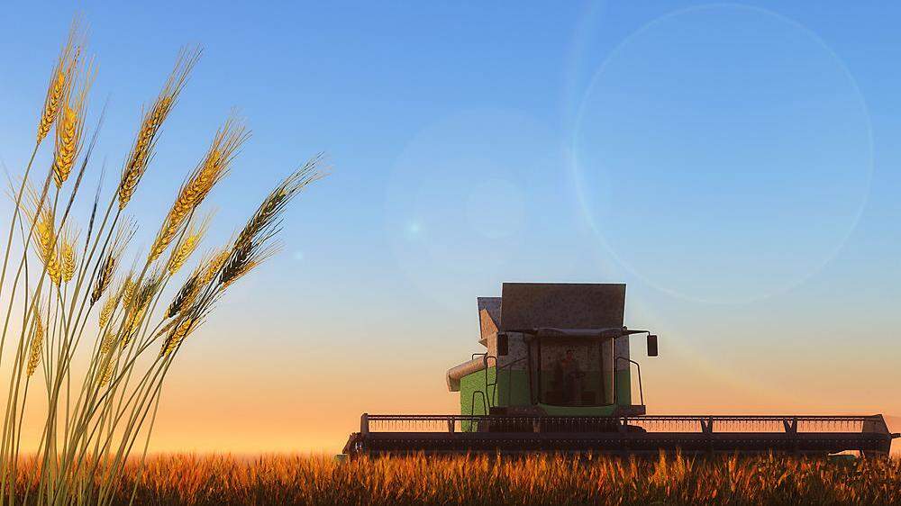 Ab Juli wird der frische Weizen in der Ukraine geerntet. Bis dahin müssen die Lagerkapazitäten freigemacht werden