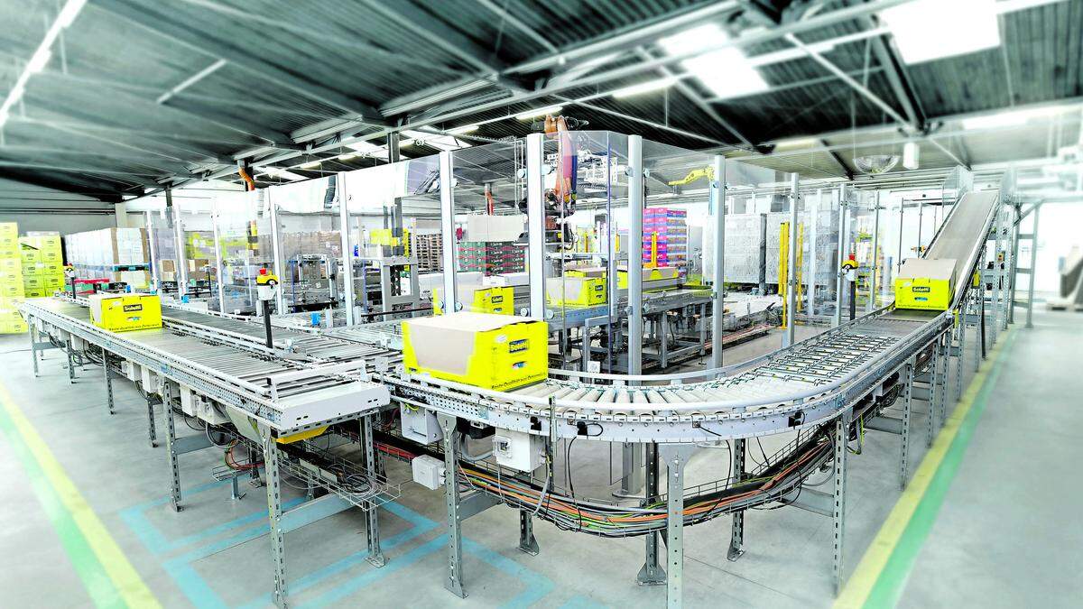 Integration der KartonFördertechnik von SSI SCHÄFER Automation in die bestehende Produktionsinfrastruktur 