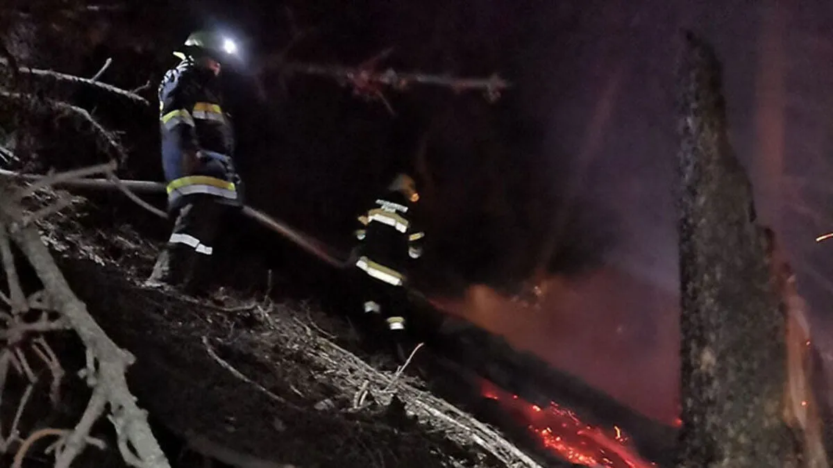 Etwa 1500 Quadratmeter waren vom Böschungsbrand betroffen