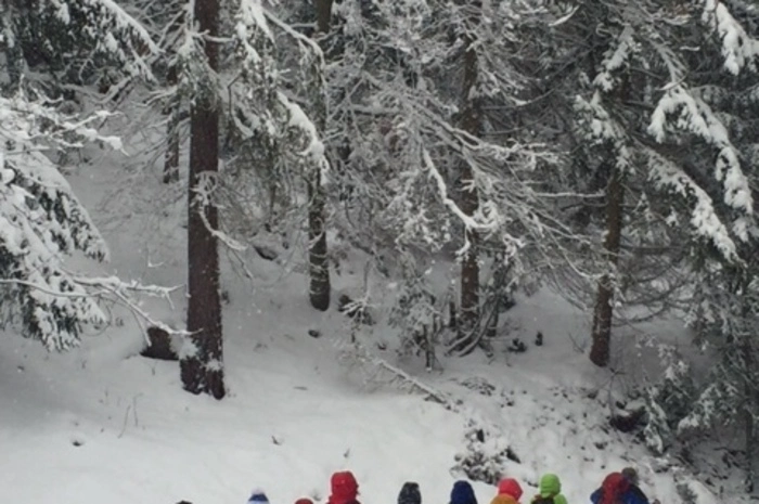 Eine tief-winterliche Silvesterwanderung unternahm die Wandergruppe des Pensionistenvereins Donawitz. Sie stampften im Schnee Richtung Hirnalm, Trofaiach. Danke an Friederike Gröbminger für das Foto. 