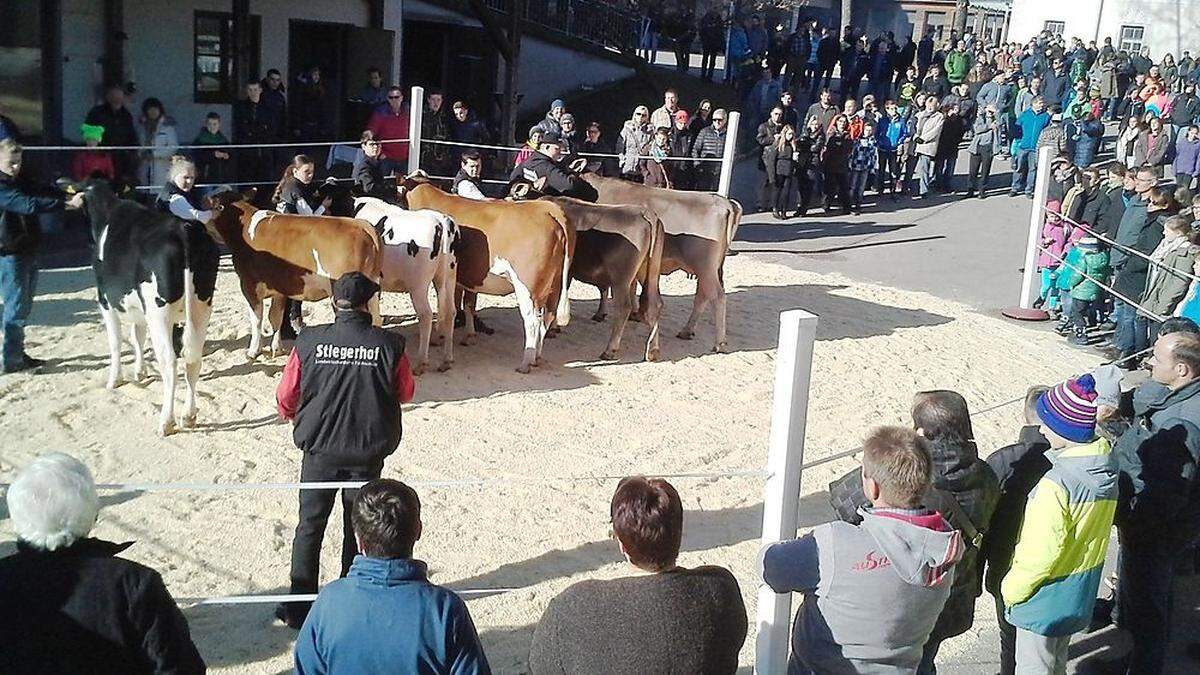 Das Interesse am Stiegerhof ist immer groß