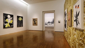 „Markus Huemer. Ein Fußballfeld muss baumfrei sein“ in der Neuen Galerie Graz