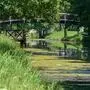 Der Lendkanal ist grün gefärbt