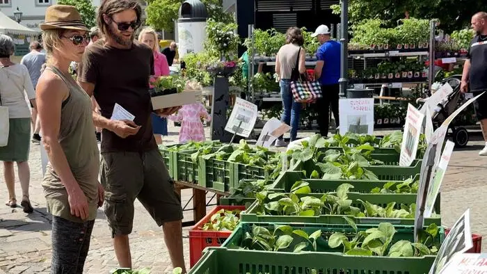 Beim beliebten Pflanzenmarkt präsentierten 22 Aussteller aus der Steuermark und dem Burgenland ihre vielfältigen Schätze: Von klassischen Gartenpflanzen über Stauden, Pflanzenraritäten und Samen bis hin zu Safranknollen, kunstvoller Dekoration und hilfreiches für das Gartenjahr.