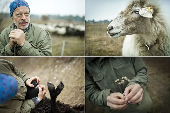 Kategorie-Sieger Objektiv 2018 in der Kategorie "Fotoserien" von Stefan Knittel. Der Schäfer hat sich nicht den leichtesten Job ausgesucht, könnte aber inmitten seiner Herde Krainer Steinschafe nicht glücklicher sein.