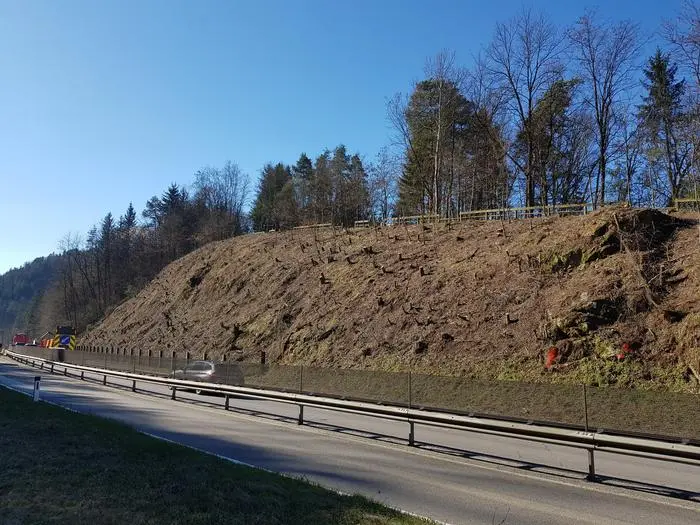 Schlägerungsarbeiten Kremser Reihen, Kremserreihen, Voitsberg, Steinschutzgitter frei gemacht, Straßenmeisterei, Bezirk Voitsberg