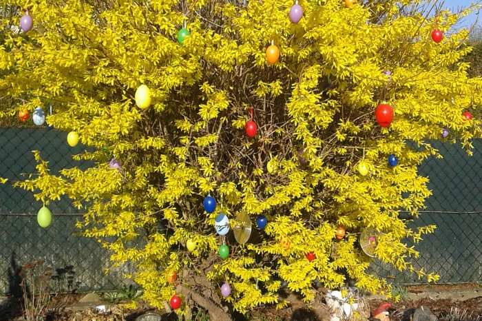 Ostergrüße aus Pfaffendorf, Zeltweg, von Christine Diethard.