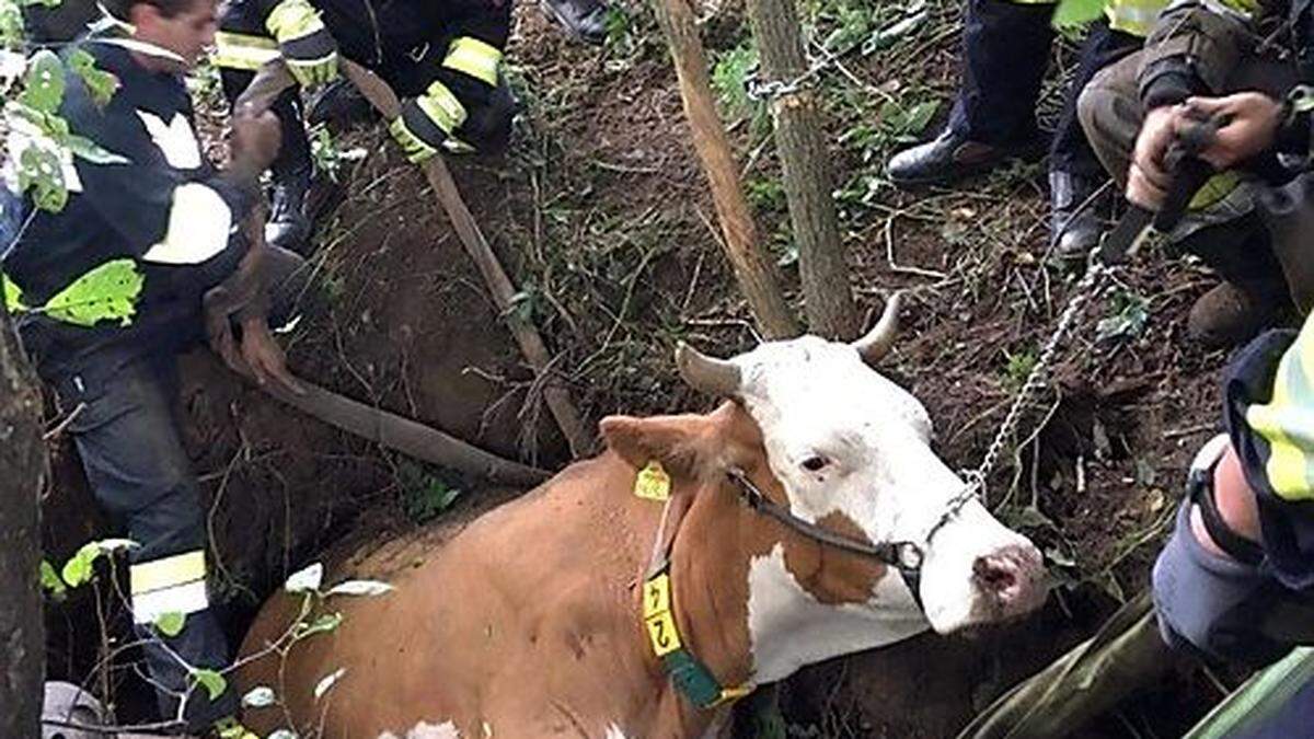 Einsatz in Weißkirchen