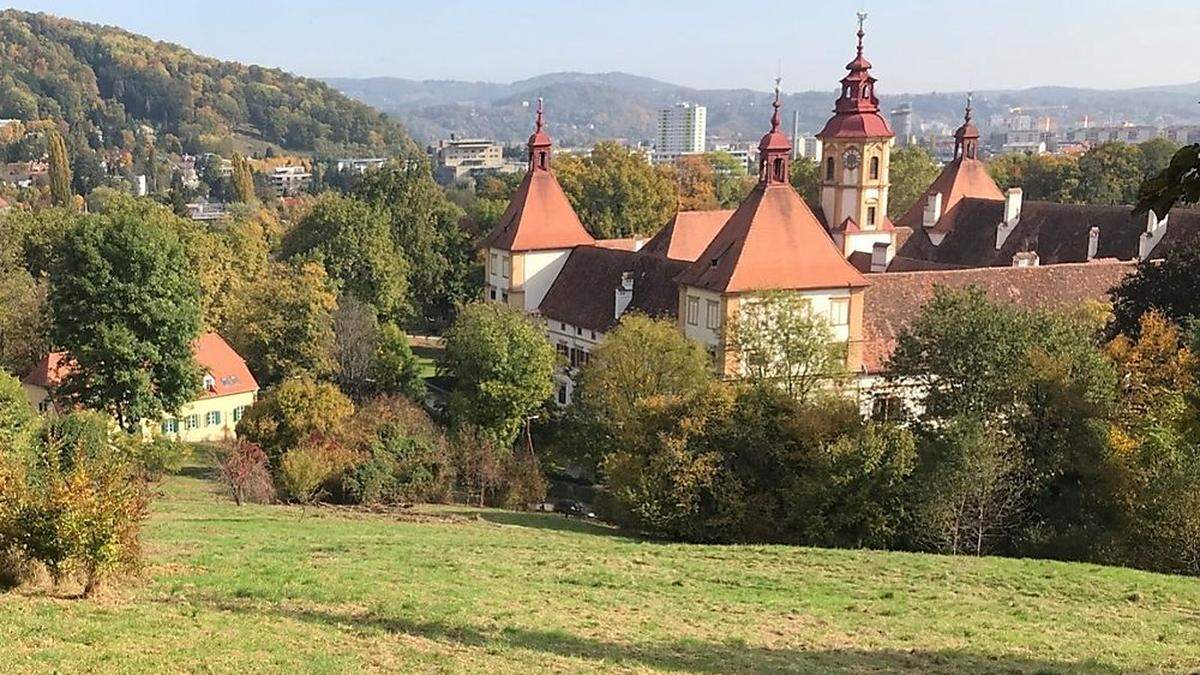 Zum 4,3 Hektar groen Grundstück gehört auch eine Wiese, auf der künftig Schafe grasen