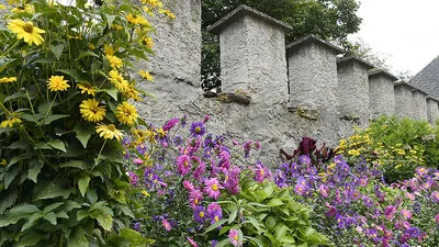 Blumenpracht hinter Klostermauern