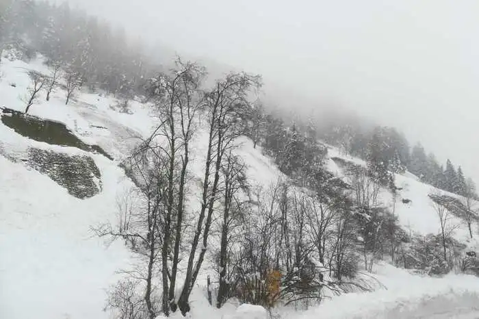 An den steilen Straßenböschungen in Mörtschach rutscht der schwere Schnee ab und knickt Bäume um.
