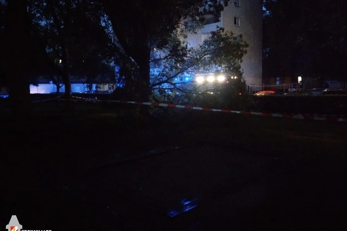 Bis 23 Uhr waren beide Fahrzeuge im Stadtgebiet im Einsatz. Mehrere Bäume mussten entfernt werden und Bauzäune wurden aufgestellt.