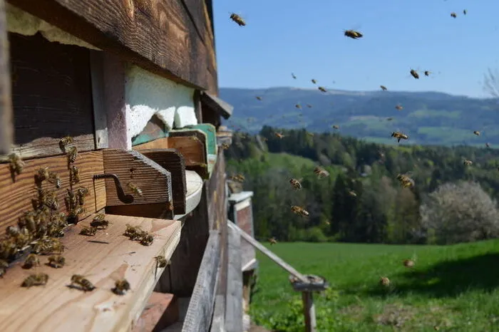 Fleißig, fleißig!