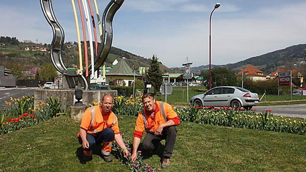 Karl Traußnig (links) und Manfred Paulitsch mit den „Früchten ihrer Arbeit“. Hier beim Kreisverkehr Nord beim Tenorio in Wolfsberg