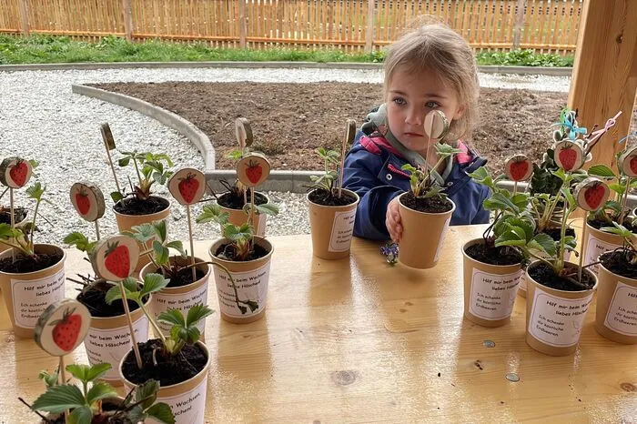 Die Kinder konnten sich eine Erdbeerpflanze aussuchen-
