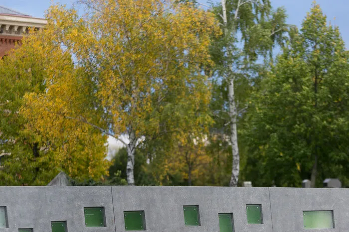 Selbstbestimmt: Wer seine letzte irdische Adresse am Zentralfriedhof haben möchte, kann eine Nische für sich reservieren.
