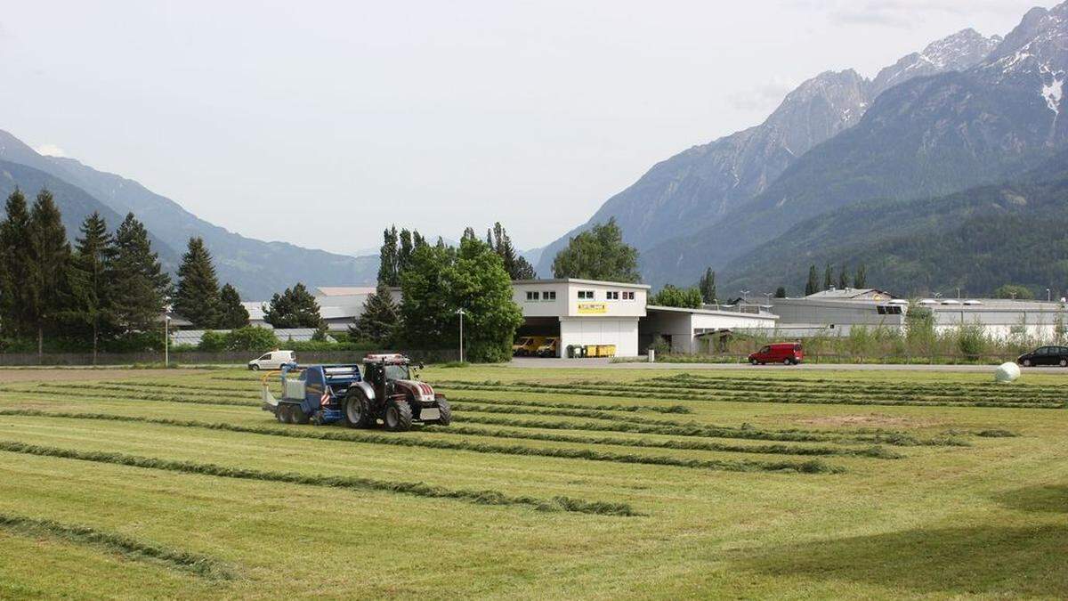 Mienekugel Lienz: Derzeit werden hier noch Siloballen gepresst, schon bald sollen hier aber 20 Einfamilienhäuser entstehen