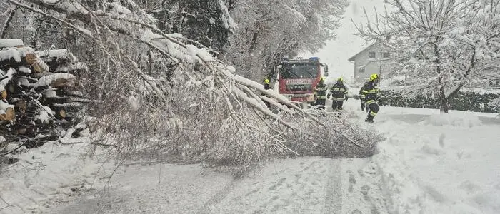 Zahlreiche oststeirische Gemeinden sind betroffen – darunter etwa Pöllauberg
Albersdorf-Prebuch, St. Ruprecht an der Raab, Vasoldsberg, Sinabelkirchen, Ilztal, Miesenbach oder Vorau