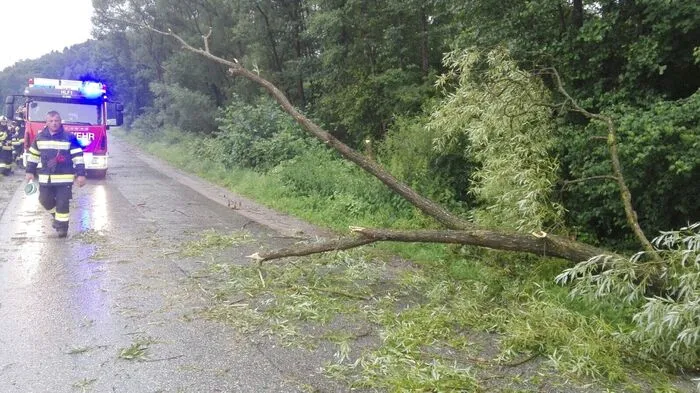 In Neustift mussten die Kameraden in einer unübersichtlichen Kurve in Richtung Schweinz einen Baum von der Straße entfernen.