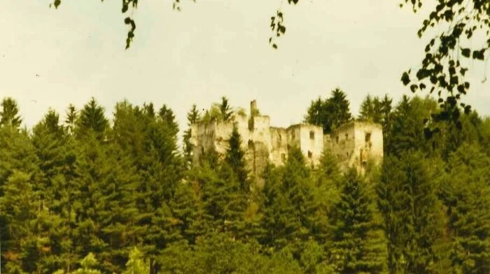 So kannten die Seebodener die Burg Sommeregg im Jahr 1969. Ein "Urwald" hatte die Ruine beinah schon verschlungen ...