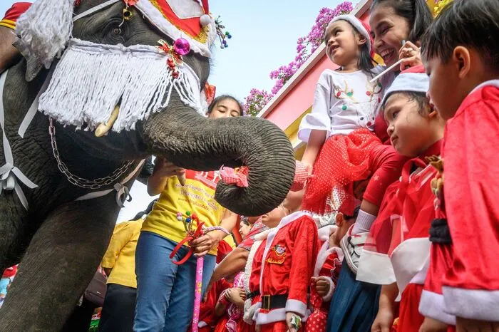 Weitere Bilder der "Santa Elephants"!