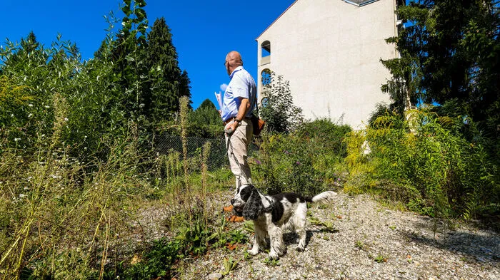 Fotos zum Durchklicken...