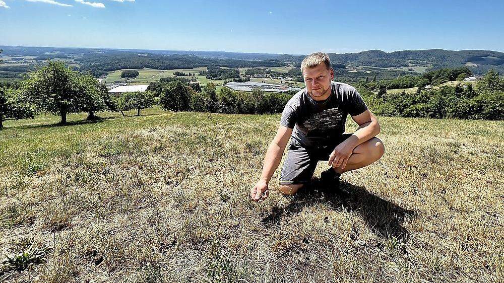 Martin Allmer auf seiner Wiese vor dem Schloss Schielleiten – auf der seit Wochen kein Gras mehr wächst