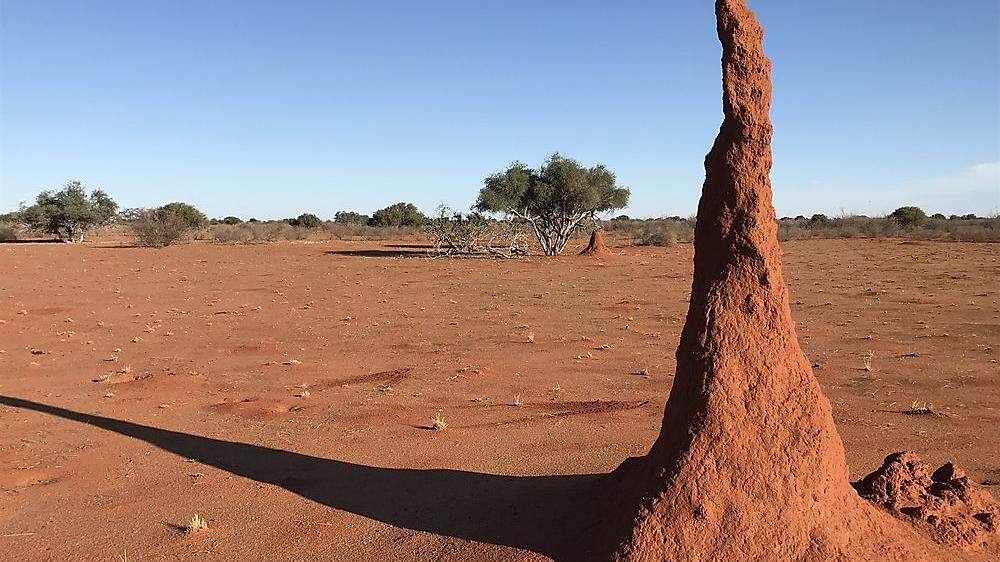 Termitenhügel in der Kalahari: Dahinter nichts als Einsamkeit