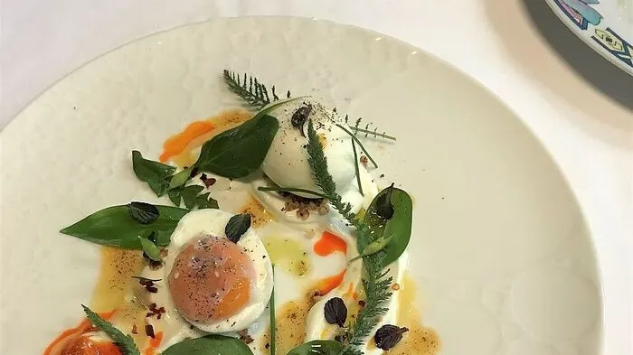 Würziger Frühstücksbrunch mit Kräutern, Joghurt und Ei