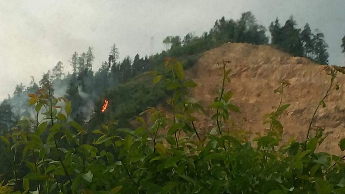 Lukas Scharf fotografierte den Waldbrand in der Entstehungsphase