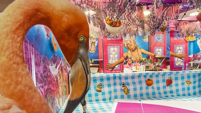Flamingo, Seepferdchen, Waschbären, Erdmännchen und ein Körper im Dirndl - so verspielt bunt ist das Grazer Orpheum im steirischen herbst ...