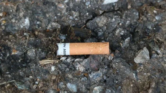Zigarettenstummel sind bei Weitem das häufigste Vermüllungsobjekt – aber nicht nur auf dem Asphalt wie hier, sondern auch im Grünen.