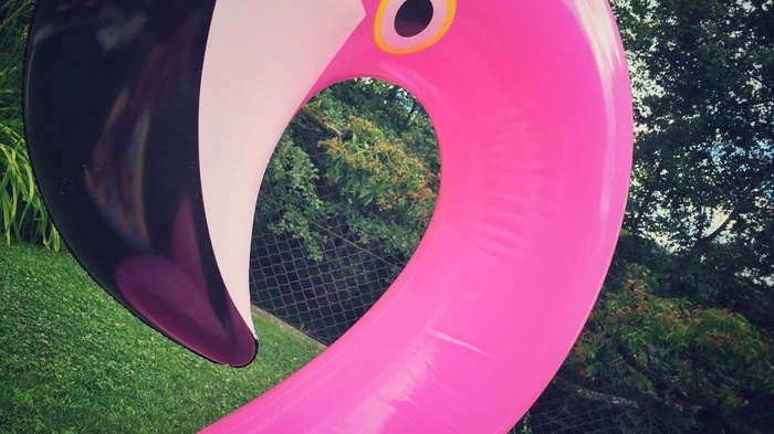 Es wird heiß! So schön kann der Sommer in Kärnten sein. Wir haben ein paar Schnappschüsse gesammelt! Viel Spaß beim Durchklicken.
