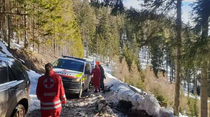 In Fröschnitz im Bruck-Mürzzuschlag wurde ein 39-jähriger Forstarbeiter von einem Baum getroffen und schwer am Unterschenkel verletzt.