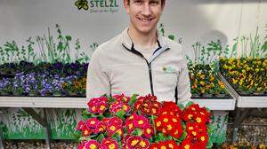 Wolfgang Stelzl, Inhaber von Blumen Stelzl, verkauft bis Mitte April Frühlingsblüher