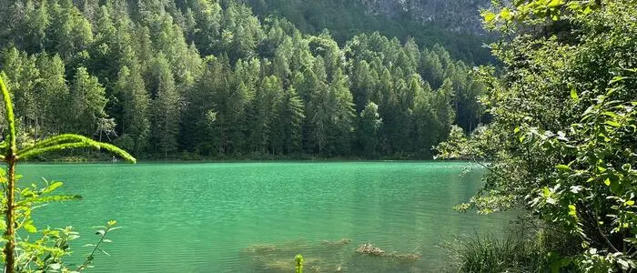 Blick auf den Tristacher See in Osttirol | Der Tristacher See sichert in Osttirol das Badevergnügen