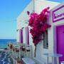 Hafen von Naoussa auf Paros. Die malerische Schwesterinsel von Naxos ist seit Jahren im Springer-Programm