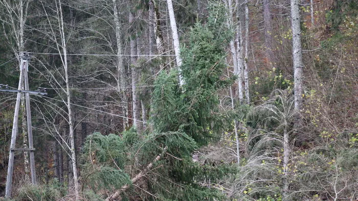 Eigentlich hätten die Aufräumarbeiten nach Sturm Yves in Dezember beendet sein sollen ...