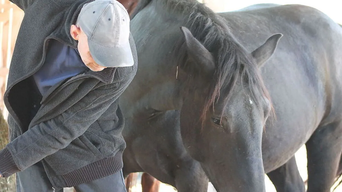 In Bachsdorf wäre das private Projekt Seniorenbetreuung am Bauernhof für Menschen mit Demenz geplant 