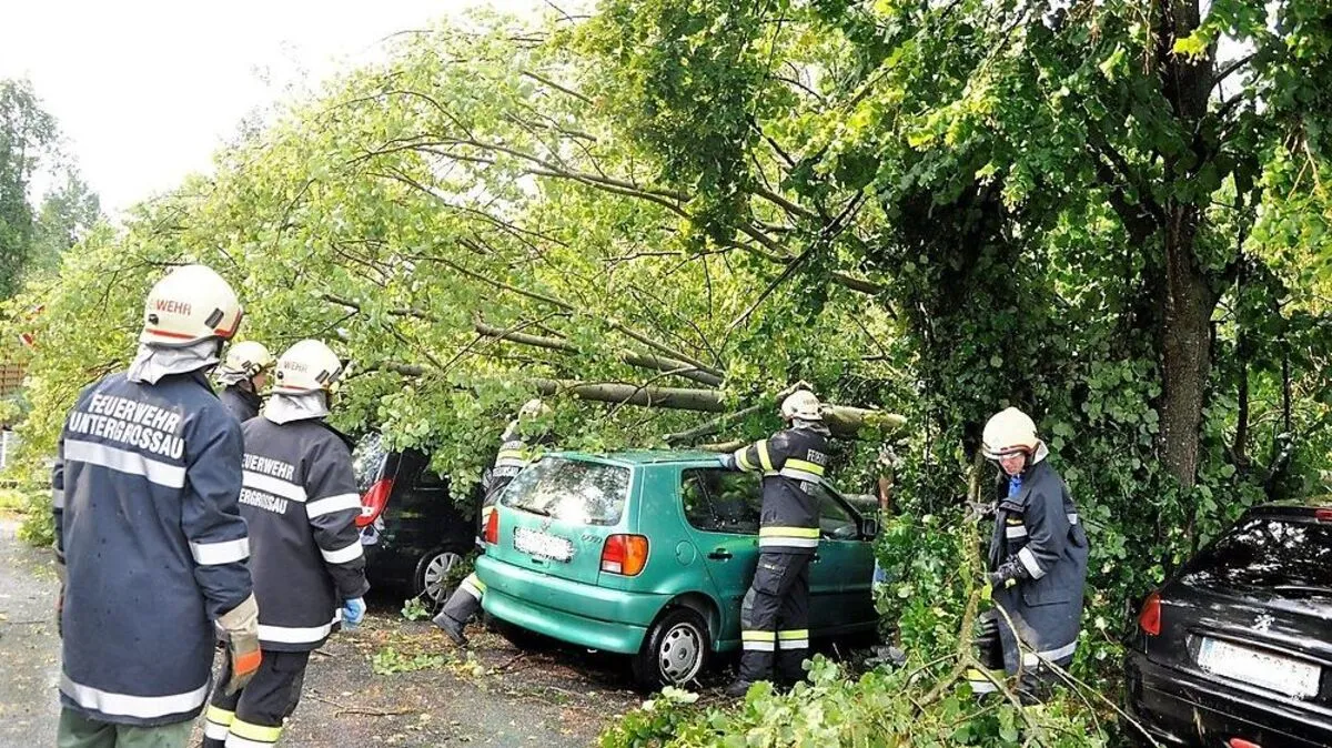 Auch zwei Autos wurden von einem Baum getroffen