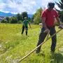 Zwei Personen stehen auf einer Wiese und mähen mit Handsensen