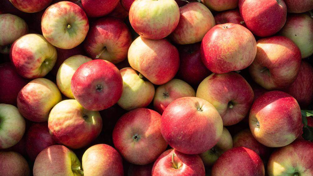Mehlige Äpfel sind perfekt für Süßspeisen