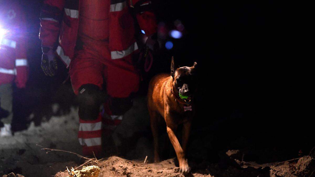 Hunde werden in Mexiko zur Suche von verschütteten Erdbebenopfern eingesetzt